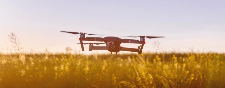 Drone in veld.